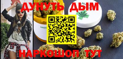 сатива Ставрополь