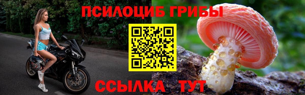Прохладный  Псилоцибиновые грибы Cubensis  Вход с VPN  Галлюциногенные грибы MAGIC MUSHROOMS 